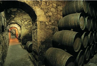 �ƽ���ӛ�����Z(y��)�{��΢�����Ѿƌ���(m��ng)�׺�......