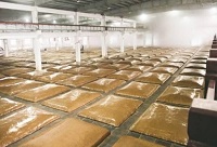 ���y���x�ϵİ׾ƏS�OӋ