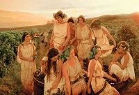 ���a���Ѿƺ��M�����ѾƵą^�e