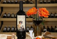 ������_���_�t�Ƶ�ܛľ����