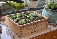 �üt��ľ���(l��i)�b����ļ҈@